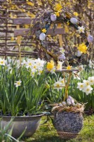 Décoration de Pâques en plein air avec nid d'oeufs et couronne suspendue. Pots de jonquille - Narcisse - en premier plan.