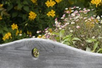 Haut de banc en bois avec parterre de fleurs derrière. Été.