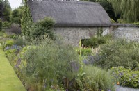 Le fenouil pousse parmi d'autres plantes dans une plantation de style cottage avec une ancienne grange en pierre derrière. La maison du jardin, Yelverton, Devon. Été.