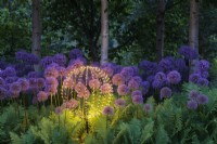 Lampe de jardin sphérique parmi les Alliums