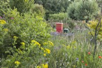 Prairie de fleurs sauvages et ruches.