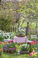 Jardin au printemps avec coin détente et pots plantés de narcisses, tulipes et pensées.
