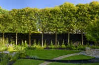 Jardin avec arbres plissés plantés de Digitalis par une clôture noire.