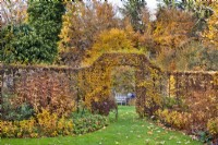 Jardin en novembre avec parterres doubles de vivaces bordés de haies de charmes et un chemin en pelouse menant par arche à l'autre salon de jardin.