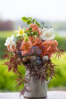 Chaenomeles x superba 'Cameo', coing japonais ou fleuri, dans un vase à feuillage d'acer japonais, muscaris, myosotis et jonquilles.