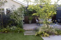 Patio de jardin dans un petit jardin de banlieue avec Trachelospermum jasminoides et Amelanchier 'Robin Hill' dans des parterres de fleurs