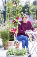 Malus 'Neville Copeman' - Pomme sauvage avec une femme assise à table