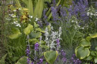 Banlieue équatoriale Beautiful Flowerbed au BBC Gardener's World Live 2022