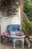 Coin salon en terrasse avec exposition d'Hydrangea macrophylla dans des pots et des vases et des têtes de fleurs séchées