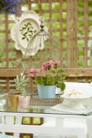 Cage à oiseaux sur table avec pélargonium rose en pot bleu sur patio
