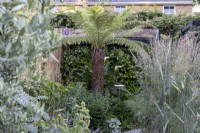 Parterre herbacé en petit jardin de banlieue avec vue vers Dicksonia antartica et abri de jardin