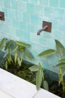 Fontaine à eau contemporaine avec carreaux de céramique verte et Thalia dealbata dans l'eau