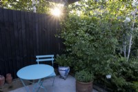 Patio isolé dans un jardin de banlieue avec petite table circulaire et chaise au coucher du soleil