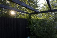 Patio isolé dans un jardin de banlieue au coucher du soleil avec pergola