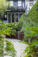 Jardin de la cour du centre-ville avec un jardin subtropical luxuriant, des parterres de fleurs surélevés et un mur recouvert de figuiers rampants.
