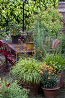 Collection de pots remplis de plantes d'été dans un petit patio de jardin