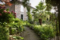 Chemin encadré par des parterres remplis de plantes luxuriantes dans un jardin de Cornouailles en août