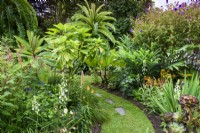 Parterres remplis de plantes vivaces tendres et exotiques dans un jardin de Cornouailles en août dont le lobelia géant, Lobelia giberroa.