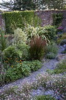 Un chemin de gravier sinueux mène à travers un parterre de fleurs de jardin de style cottage mixte, avec des graminées, des annuelles et des vivaces mélangées. De grands Phormiums à l'arrière donnent de la hauteur.