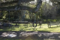 Des balançoires faites de corde, d'un vieux pneu et de branches pendent d'une grosse branche d'arbre. Divers bancs de pique-nique sont assis derrière et une allée gravillonnée passe au premier plan. Regency House, jardin Devon NGS. L'automne