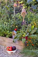 Maisons à insectes pour attirer la faune bénéfique dans le potager bio, bol de tomates et aubergines fraîchement cueillies..