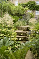 Chemin et étapes menant à travers le jardin à Cow Close Cottage, North Yorkshire en juillet encadrée par des plantes qui aiment l'humidité