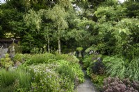 Chemin à travers des parterres luxuriants plantés de plantes vivaces herbacées et de graminées à Cow Close Cottage en juillet