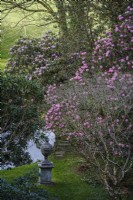 Arboreum de rhododendron dans un jardin de campagne avec une urne classique près d'un étang