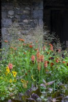 Plantation mixte de vivaces de Kniphofia, Echinacea 'Salsa Red' et graminées - The Blue Diamond Forge Garden, RHS Chelsea Flower Show 2021