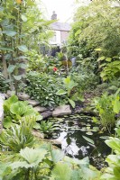 Jardin tropical en août avec petit bassin