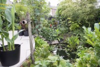 Jardin tropical en août avec petit bassin