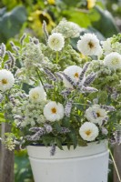 Bouquet de fleurs blanches dans un seau. contenant Dahlia, Agastache rugosa et Ammi majus.
