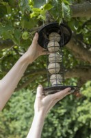 Mangeoire à oiseaux suspendue dans un arbre