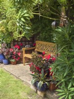 Pavillon de jardin avec banc en bois orné et plantes en pot