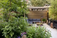 À l'échelle d'un parterre de fleurs herbacées vers un patio et une pergola en bois contemporaine