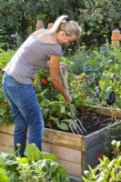Femme préparant un parterre de fleurs avec une fourche de jardin pour planter des plants de légumes.