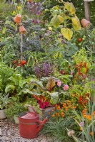 Arrosoir devant un parterre de fleurs surélevé rempli de cultures en croissance, notamment de bette à carde, de poivrons, de tomates, de basilic et de chou frisé.