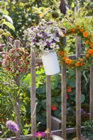 Bouquet de verveine, d'achillea et de marguerites dans un pot en émail et une couronne faite d'hortensias et de fruits Cornus kousa accrochés à une clôture.