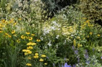 Parterre de fleurs à thème couleur dans un petit jardin de campagne en juillet