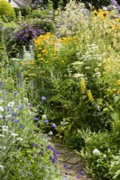 Parterres de fleurs à thème couleur dans un petit jardin de campagne en juillet