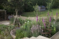 Plantation herbacée en plates-bandes surélevées avec un mélange de fleurs et de légumes. Favoris du jardin de cottage, y compris Digitalis purpurea - Foxglove, Lavandula 'Hidcote' - Lavande, Papaver 'Bridal Silk', Allium 'Purple Sensation', Linaria 'Canon Went', Thym, Fenouil et fève à fleurs rose foncé.Willow et Hazel wigwams et tissé clôture d'obstacles.