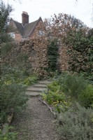 Le jardin d'hiver des jardins botaniques de Winterbourne - mars