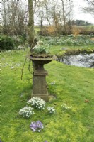 Pot de fleurs classique en fonte rempli de Galanthus près d'un étang rond et d'une pelouse avec divers Galanthus.