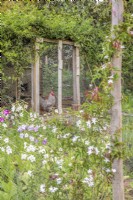 Poulailler sur-cultivé avec passiflora edulis et nicotiana rampant à travers la clôture au premier plan