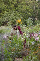 Jardinier cueillant des fleurs entouré de lavande, de dahlias, d'amarante et de tournesols