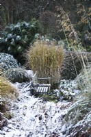 Banc entouré de graminées ornementales dans un jardin enneigé en décembre.