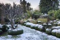 Box Garden avec un peu de neige en décembre.