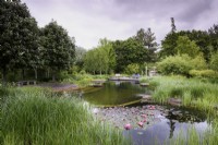 Étang de baignade naturel au jardin Ellicar en mai
