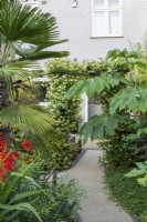 La maison jumelée vue au-delà des palmiers, du crocosmia, de la plante à papier de riz et d'une arche de jasmin étoilé.