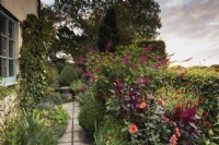 Jardin champêtre aux fleurs oranges et roses dont des annuelles comme les amarantes et les tagètes, et des vivaces comme les dahlias et les sauges en septembre.